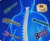 Photo for Global Medical Implant Market-Forecast till 2022
