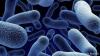 Photo for US Biodefense Market Outlook 2022