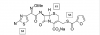 Photo for 2017 Europe Ceftiofur amide Industry Report