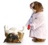 Photo for Pet Health Products Market – Global Industry Insights, Trends, and Opportunity Analysis, 2016–2024