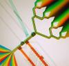 Photo for Microfluidics Market - World Forecasts to 2022