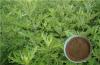 Photo for Plant Extract manufacturer|Herbal extract factory|Best Natural ingredients Supplier - Plantnat