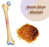 Photo for Global Bone Glue Market is expected to witness a CAGR of 6.3% during the forecast period 2016 – 2024