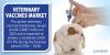 Photo for Global Veterinary Vaccines Market is projected to expand at a CAGR of 5.9%