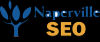 Photo for Naperville SEO Company