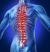 Photo for Global Spine Biologics Market by Manufacturers, Regions, Type and Application, Forecast to 2021