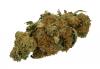 Photo for Medicinal Cannabis Market Size ,Share and Forecast upto 2024