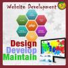 Photo for Professional Web Designing Company in Mumbai