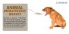 Photo for Animal Parasiticides Market - Global Industry Insights, Trends, Size, Share and Analysis, 2016 -  2024