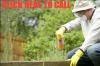 Photo for Washington DC Pest Control