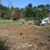 Photo for Down to Earth Land Clearing Solutions, Inc