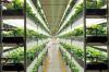 Photo for Global Vertical Farming Plant Factory Sales Market Report 2021
