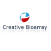 Photo for Human Dermal Fibroblasts-adult