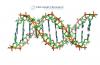 Photo for Synthetic Biology Market Size, Share, Development, Growth and Demand Forecast to 2020