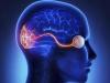 Photo for Wireless Visual Cortical Stimulator Market - Global Industry Insights and Opportunity Analysis, 2016–2024