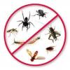 Photo for Rodent Control Guys