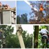 Photo for McPeak's Complete Tree and Landscaping