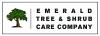 Photo for Emerald Tree & Shrub Care