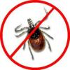 Photo for Tick Control Guys