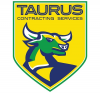 Photo for Taurus Contracting Services LLC