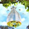 Photo for Wasp Control Guys