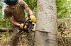 Photo for Tree Service Guys