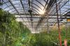 Photo for Vertical Farming Market Research Survey - Global Analysis, Operation, Requirements, Region of Impact, Applications