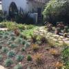 Photo for Salvador Sales Landscaping Design