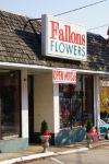 Photo for Fallon's Flowers