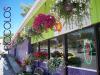 Photo for Piccolo's Florist