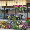 Photo for Stems Omaha