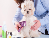 Photo for Dog Grooming Kingwood TX 