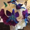 Photo for The Orchid: Luxury Flower Design