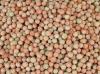 Photo for Global Kaspa Peas Market - Price Trends, Outlook and Research 2017 - 2022