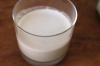 Photo for Analysis of the Cashew Milk Market and Forecast Report for 2017-2022