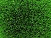 Photo for Artificial Grass Woodland Hills