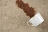 Photo for Waxler Carpet Cleaning Services