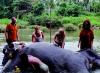 Photo for srilankapersonaltour