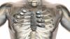 Photo for Global 3D Printing Medical Devices Sales Market Report 2017