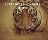 Photo for Wildlife Tour Packages in India | Alluring India