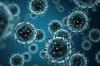 Photo for Global Nanoparticles Market   – Global Industry Insights, Trends, Outlook, and Opportunity Analysis, 2016–2024