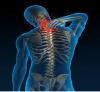Photo for Neck Pain Treatment in Mumbai