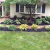 Photo for Verde Scapes LLC