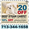 Photo for Cleaning Carpet Houston