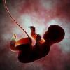 Photo for Global Infertility Treatment Sales Market Report 2017