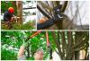 Photo for Brother Johns Painting & Tree Trimming