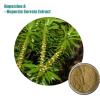 Photo for Huperzine A, Milk thistle extract