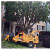 Photo for Lorenzo's Tree Service