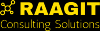 Photo for RAAGIT Consulting Solutions