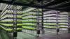 Photo for Vertical Farming Market worth 5.80 Billion USD - Global Forecast To 2022